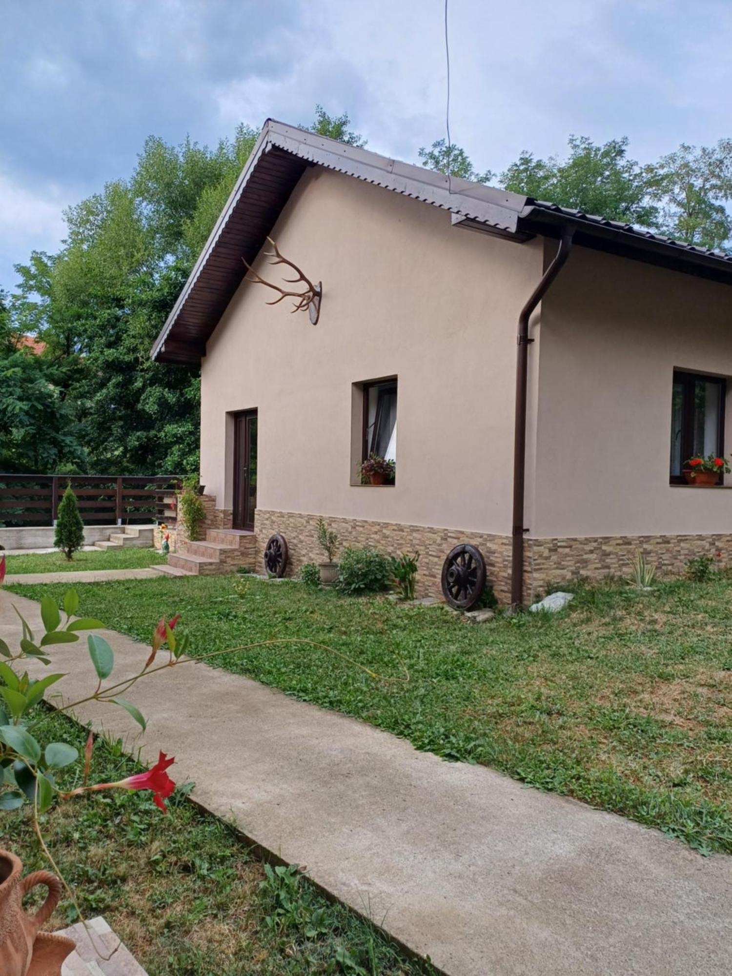 Casa Radu Διαμέρισμα Novaci-Străini Εξωτερικό φωτογραφία