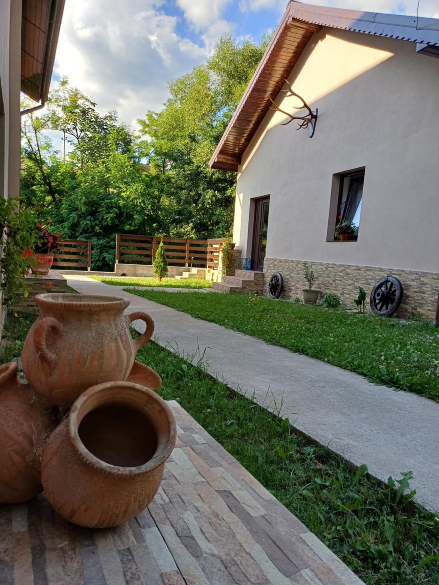 Casa Radu Διαμέρισμα Novaci-Străini Εξωτερικό φωτογραφία